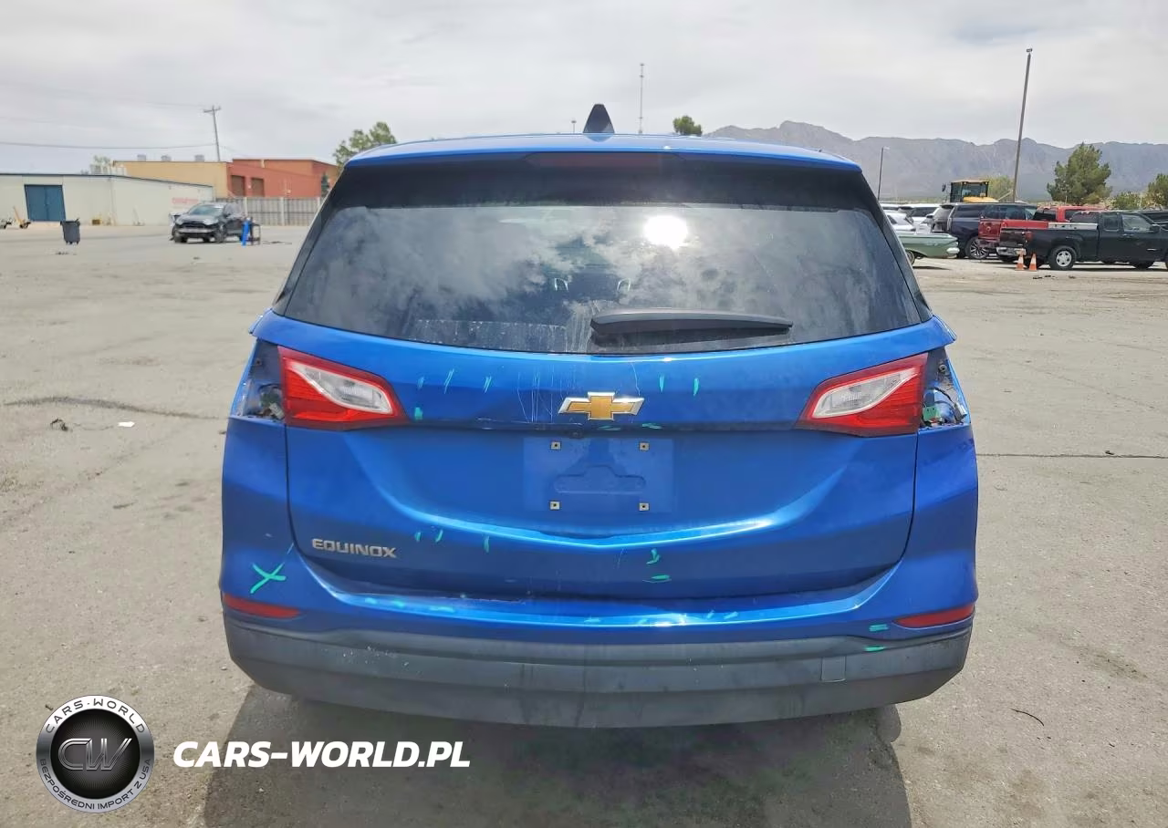 2019 Chevrolet Equinox Ls VIN:3GNAXHEV3KS593438 - 6