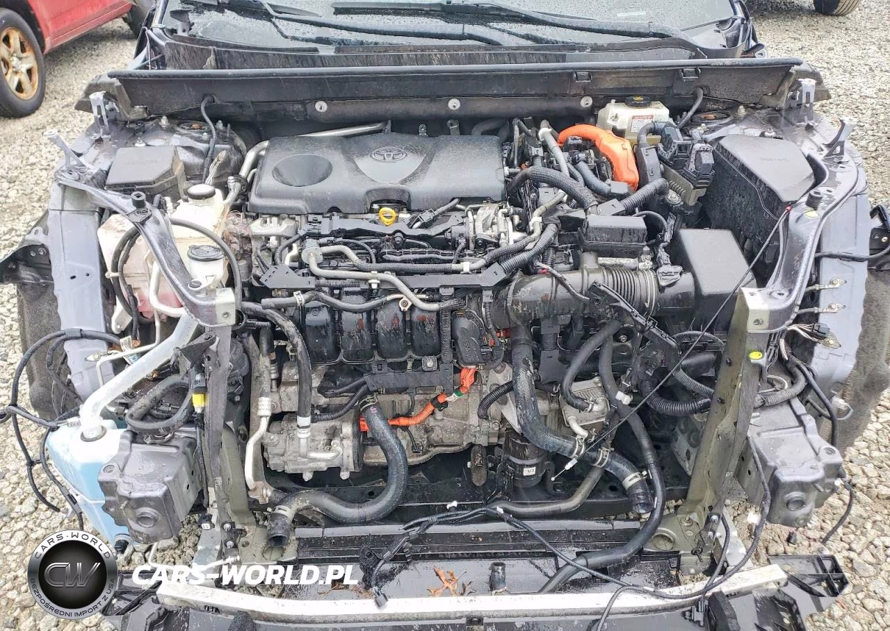 2019 Toyota Rav4 Hybrid Xle VIN:JTMRWRFV2KD007718 - 12
