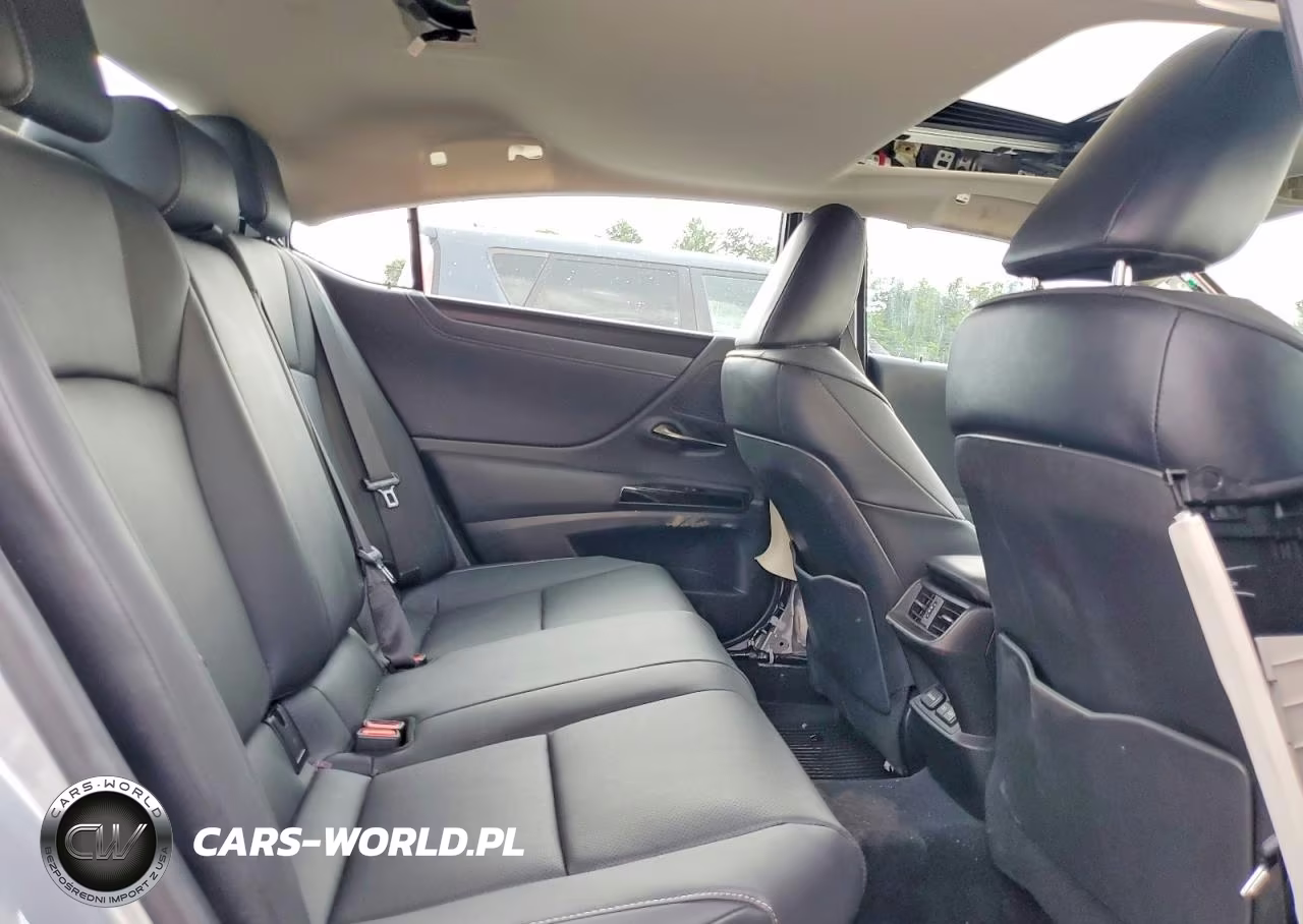 2024 Lexus Es 300H Base VIN:58ADA1C17RU052633 - 10
