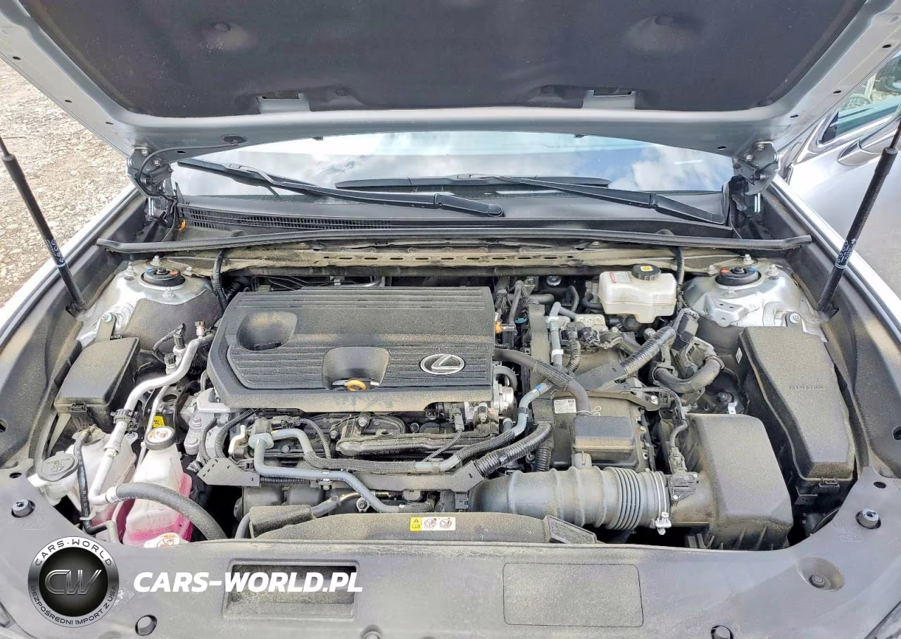 2024 Lexus Es 300H Base VIN:58ADA1C17RU052633 - 11