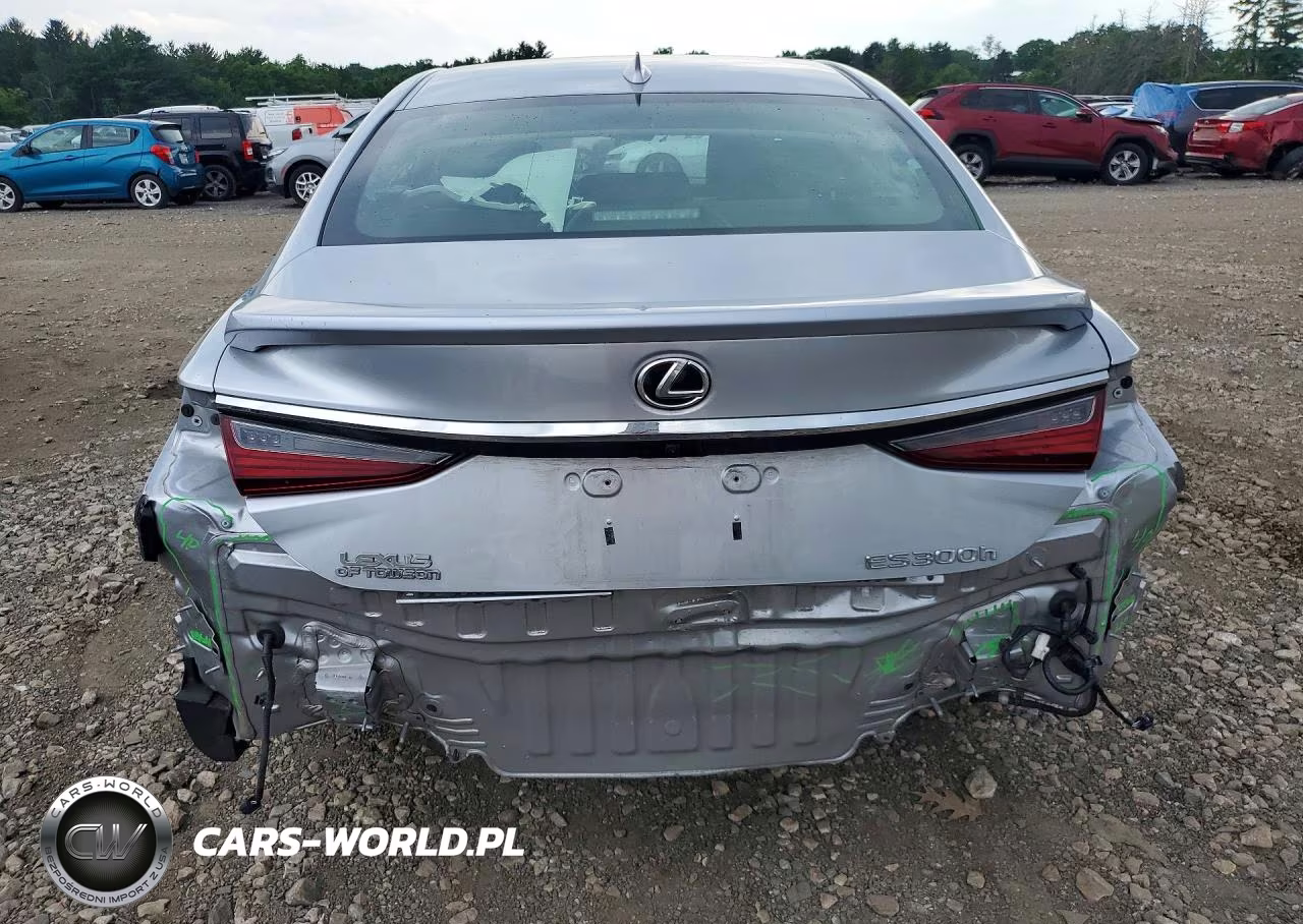 2024 Lexus Es 300H Base VIN:58ADA1C17RU052633 - 6