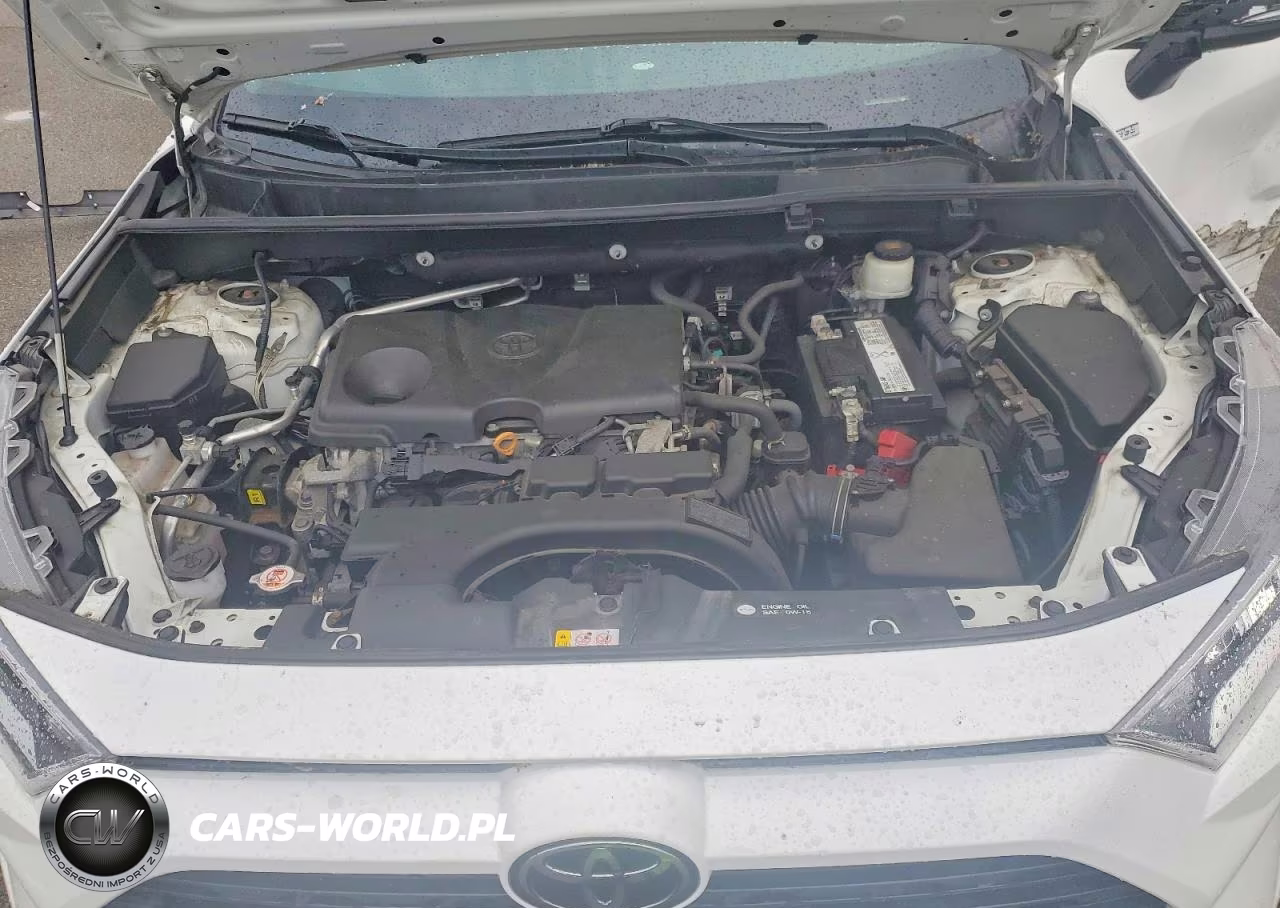 2019 Toyota Rav4 Xle Premium VIN:2T3A1RFV5KC038915 - 12
