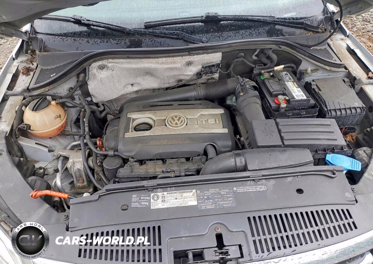 2010 Volkswagen Tiguan Se VIN:WVGBV7AX9AW516379 - 12