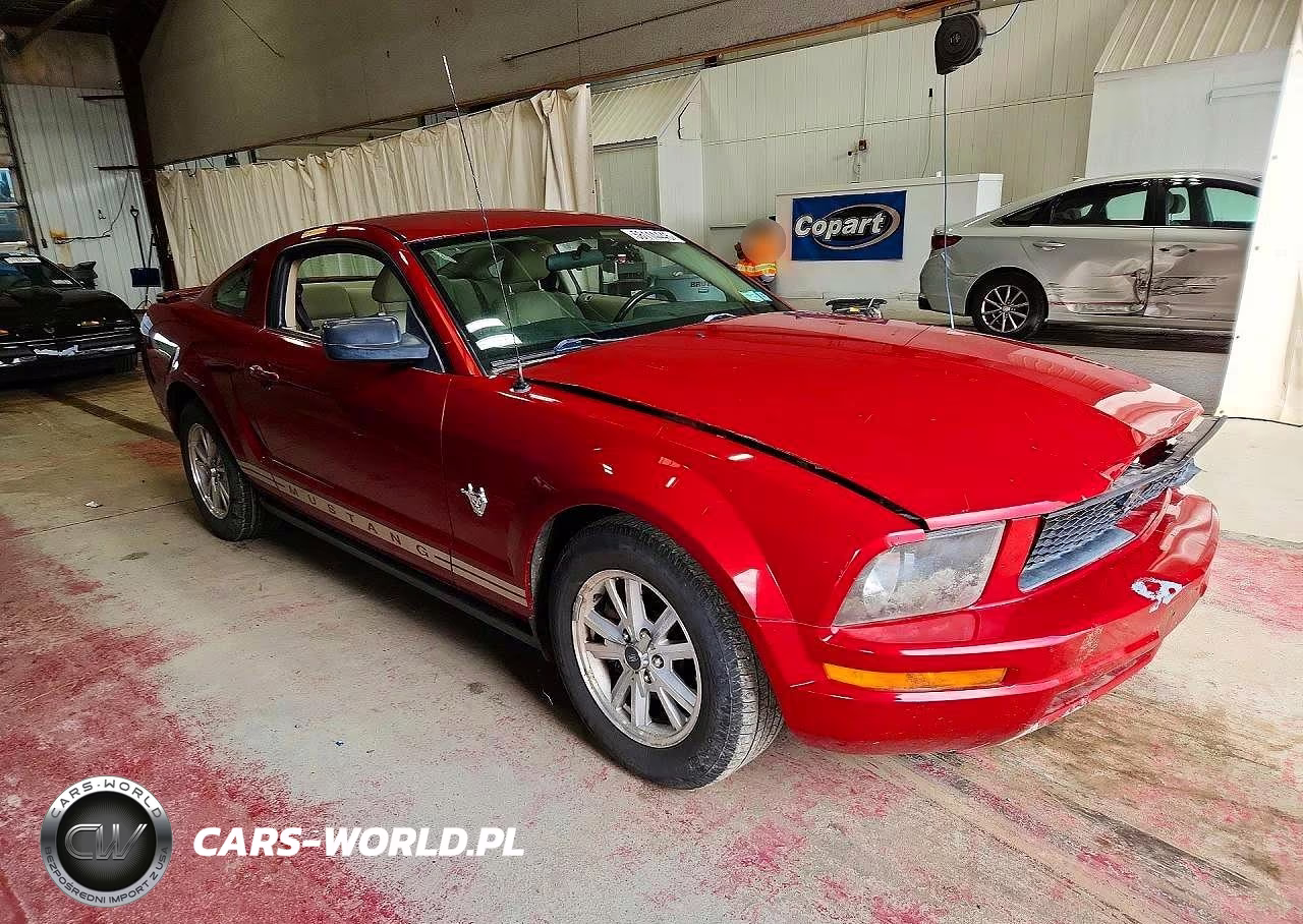 2009 Ford Mustang VIN:1ZVHT80N595140529 - 4