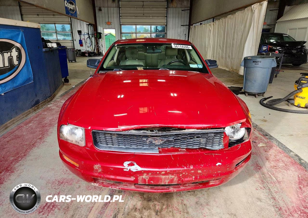 2009 Ford Mustang VIN:1ZVHT80N595140529 - 5