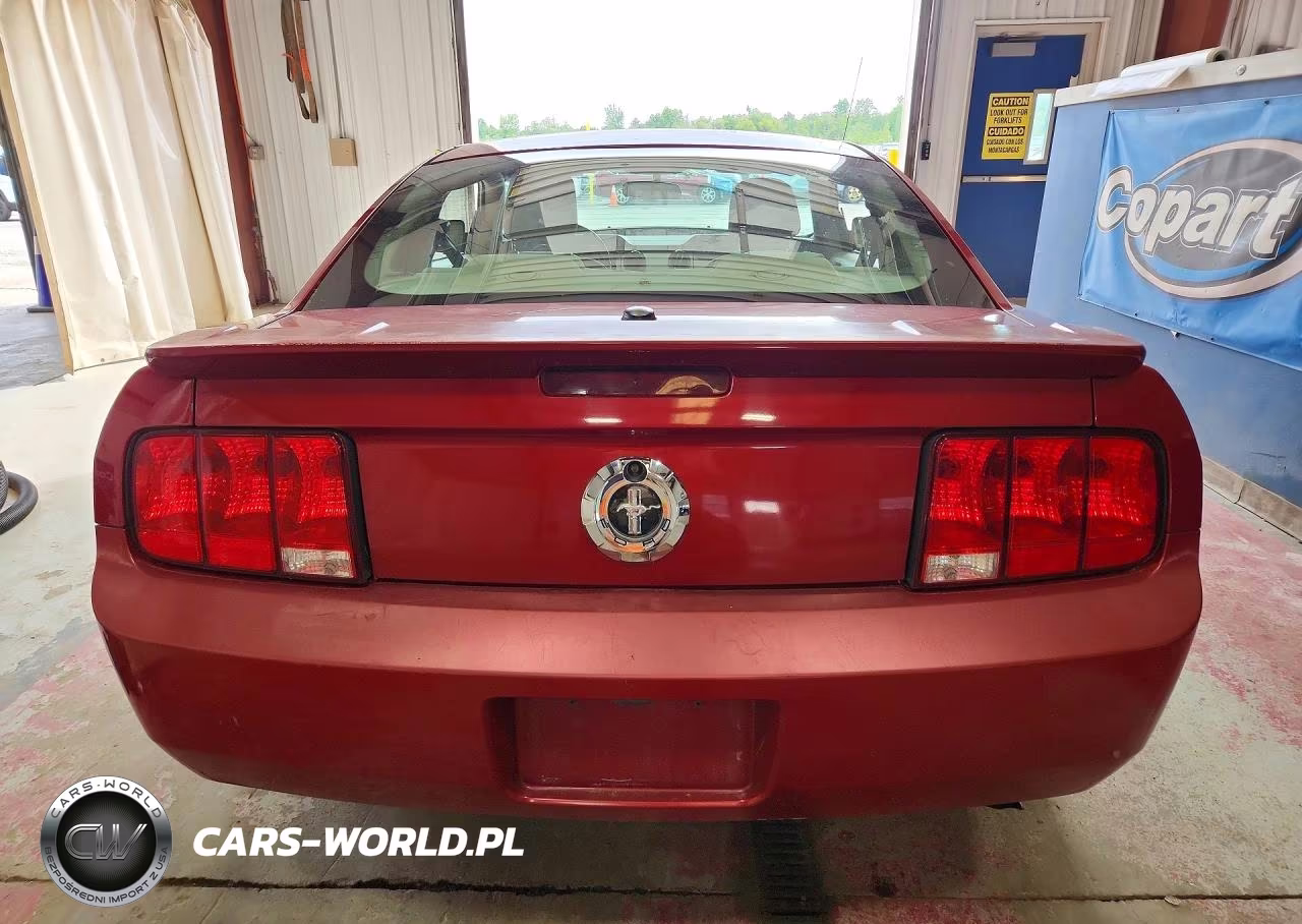 2009 Ford Mustang VIN:1ZVHT80N595140529 - 6