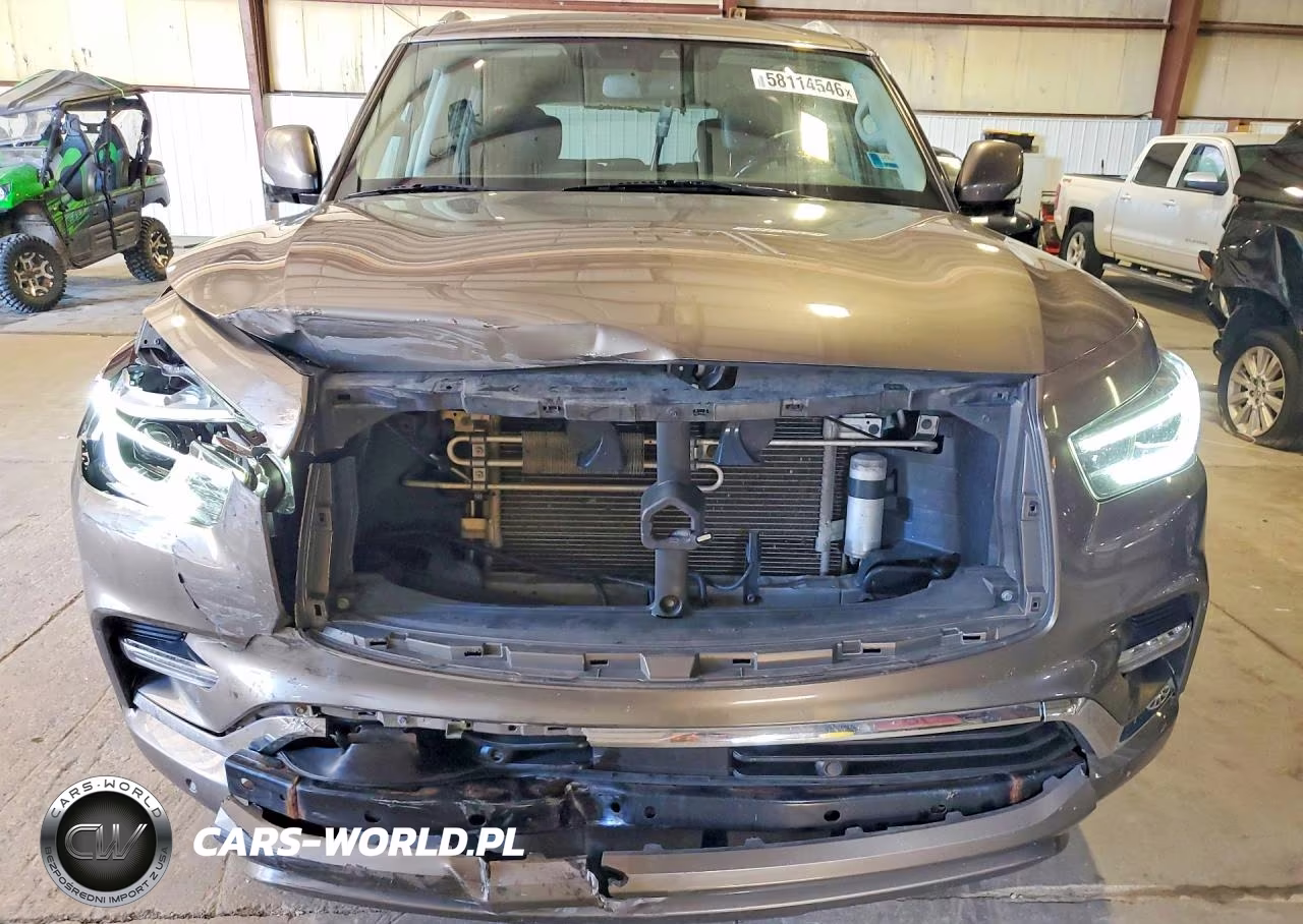 2019 Infiniti Qx80 Luxe VIN:JN8AZ2NE9K9226664 - 5