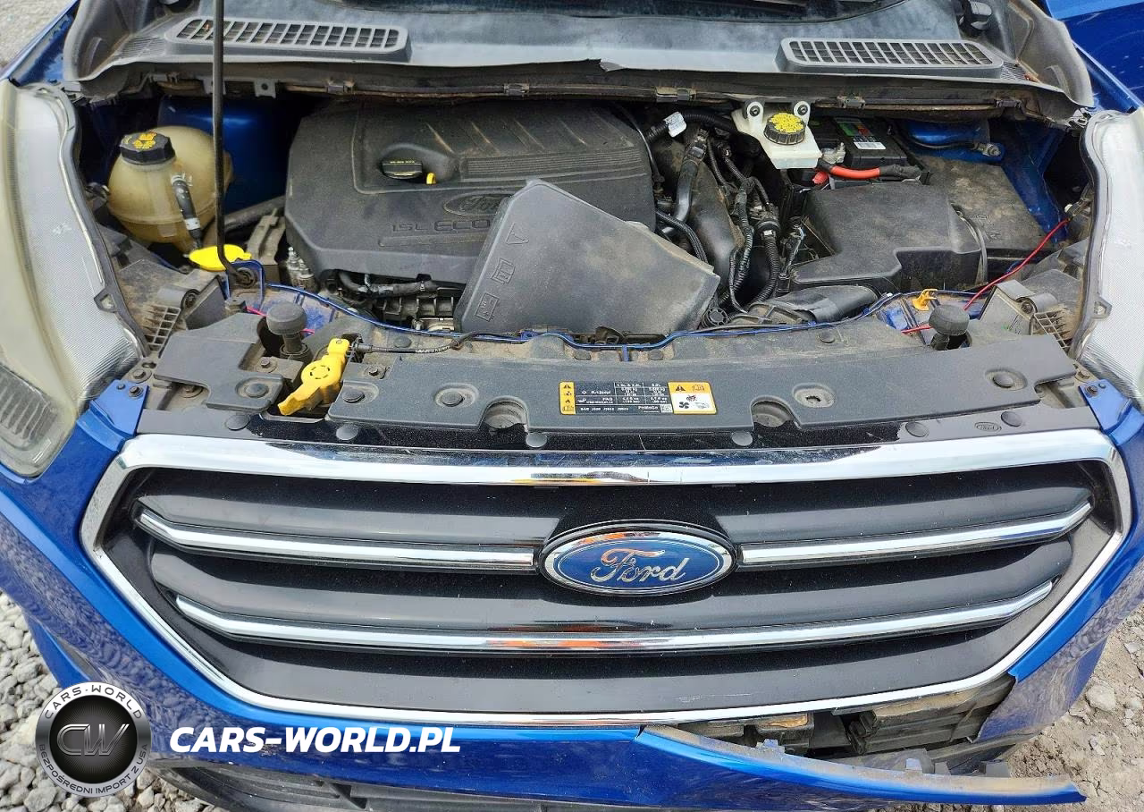 2018 Ford Escape Se VIN:1FMCU0GD9JUA79460 - 12
