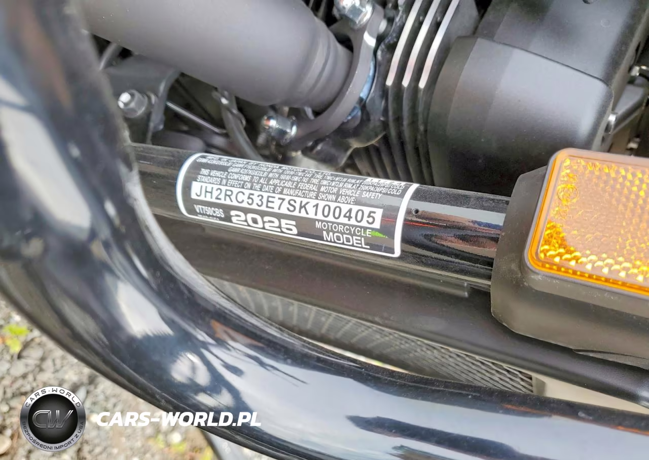 2025 Honda Shadow Rs VIN:JH2RC53E7SK100405 - 9