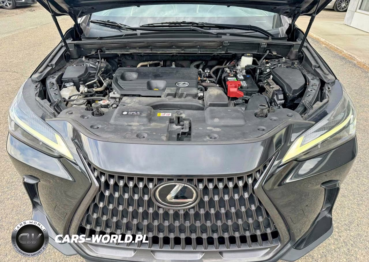 2022 Lexus Nx 250 VIN:JTJADCAZ5N2001984 - 10