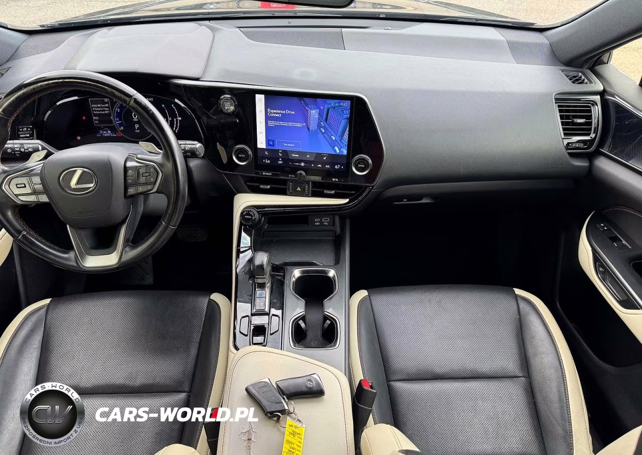 2022 Lexus Nx 250 VIN:JTJADCAZ5N2001984 - 11
