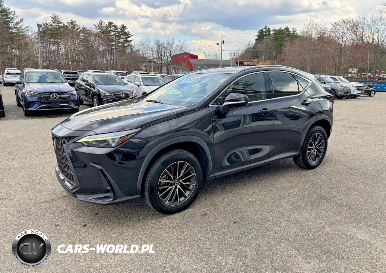 2022 Lexus Nx 250 VIN:JTJADCAZ5N2001984 - 2
