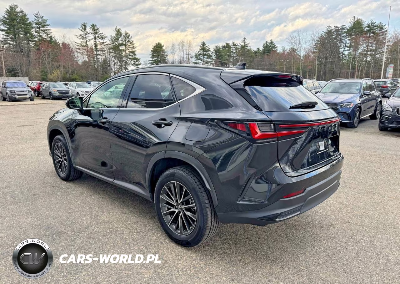 2022 Lexus Nx 250 VIN:JTJADCAZ5N2001984 - 3