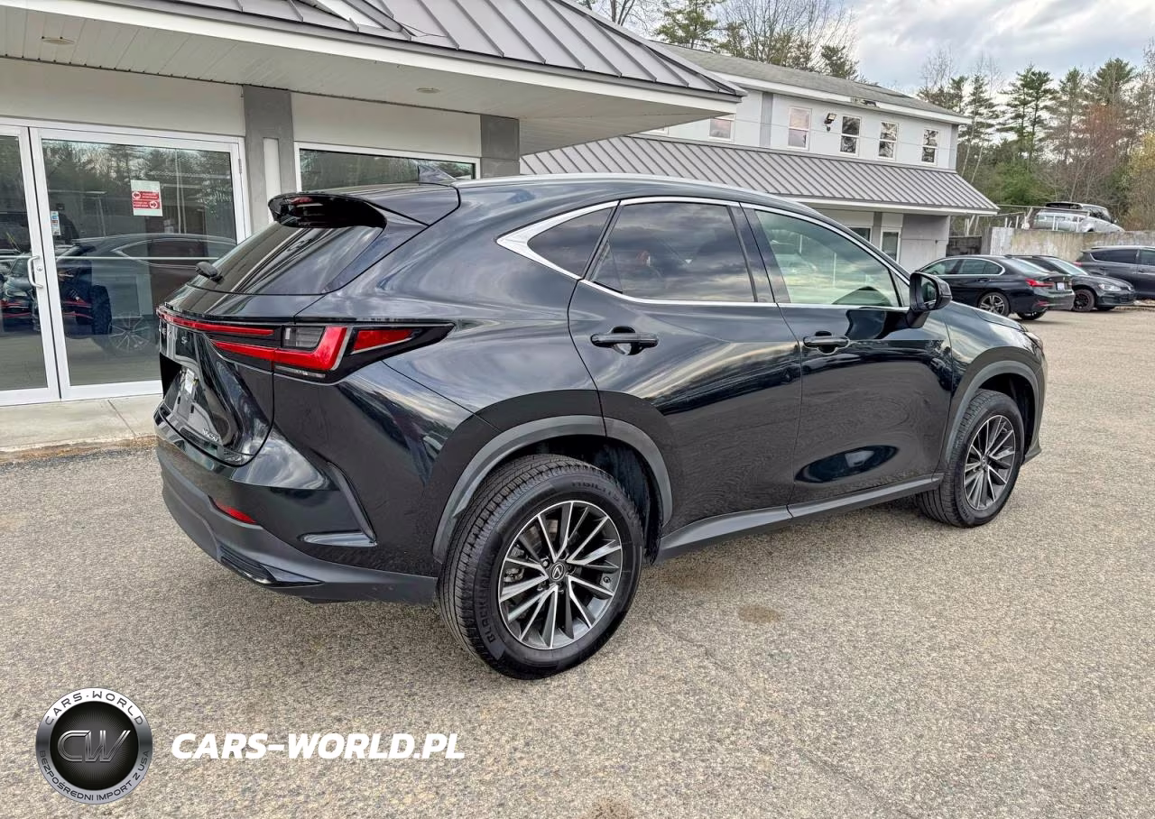 2022 Lexus Nx 250 VIN:JTJADCAZ5N2001984 - 4