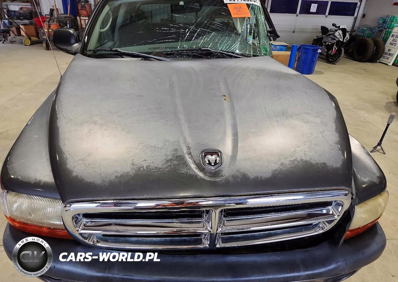2002 Dodge Dakota Sport VIN:1B7GG32N02S511154 - 11