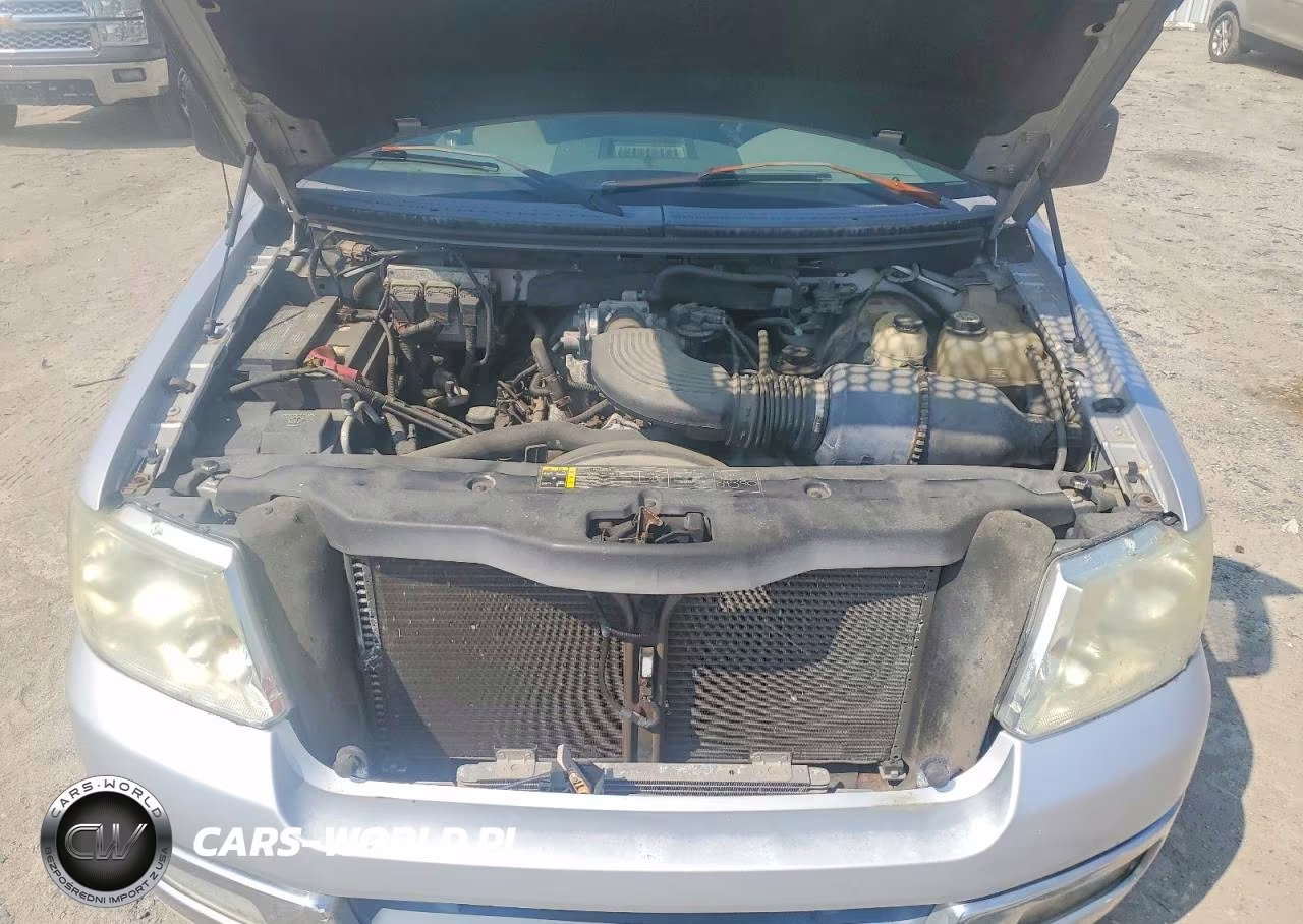 2004 Ford F-150 VIN:1FTRF12WX4NA47512 - 11