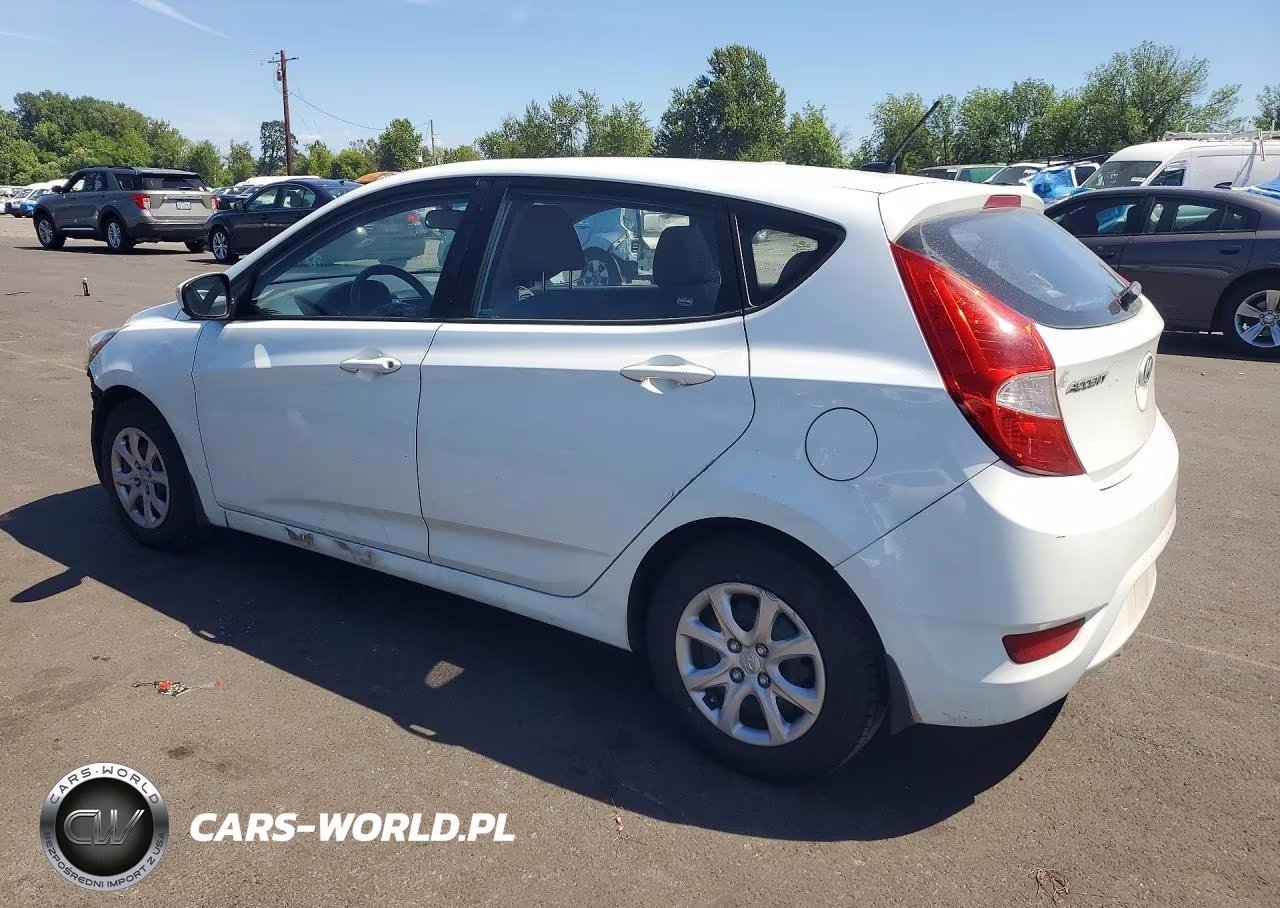 2013 Hyundai Accent Gs VIN:KMHCT5AE5DU063553 - 2