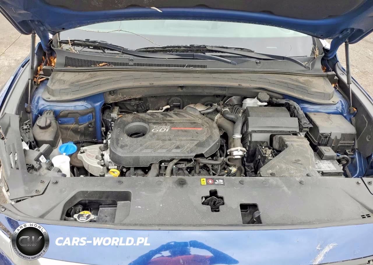 2020 Hyundai Santa Fe Sel 2.0T VIN:5NMS33AA8LH232665 - 12