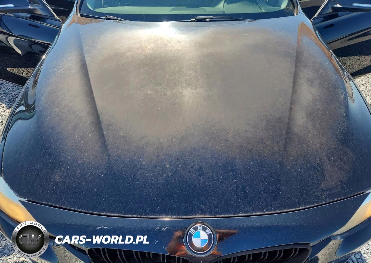 2013 BMW 320 I VIN:WBA3B1C5XDF461503 - 11