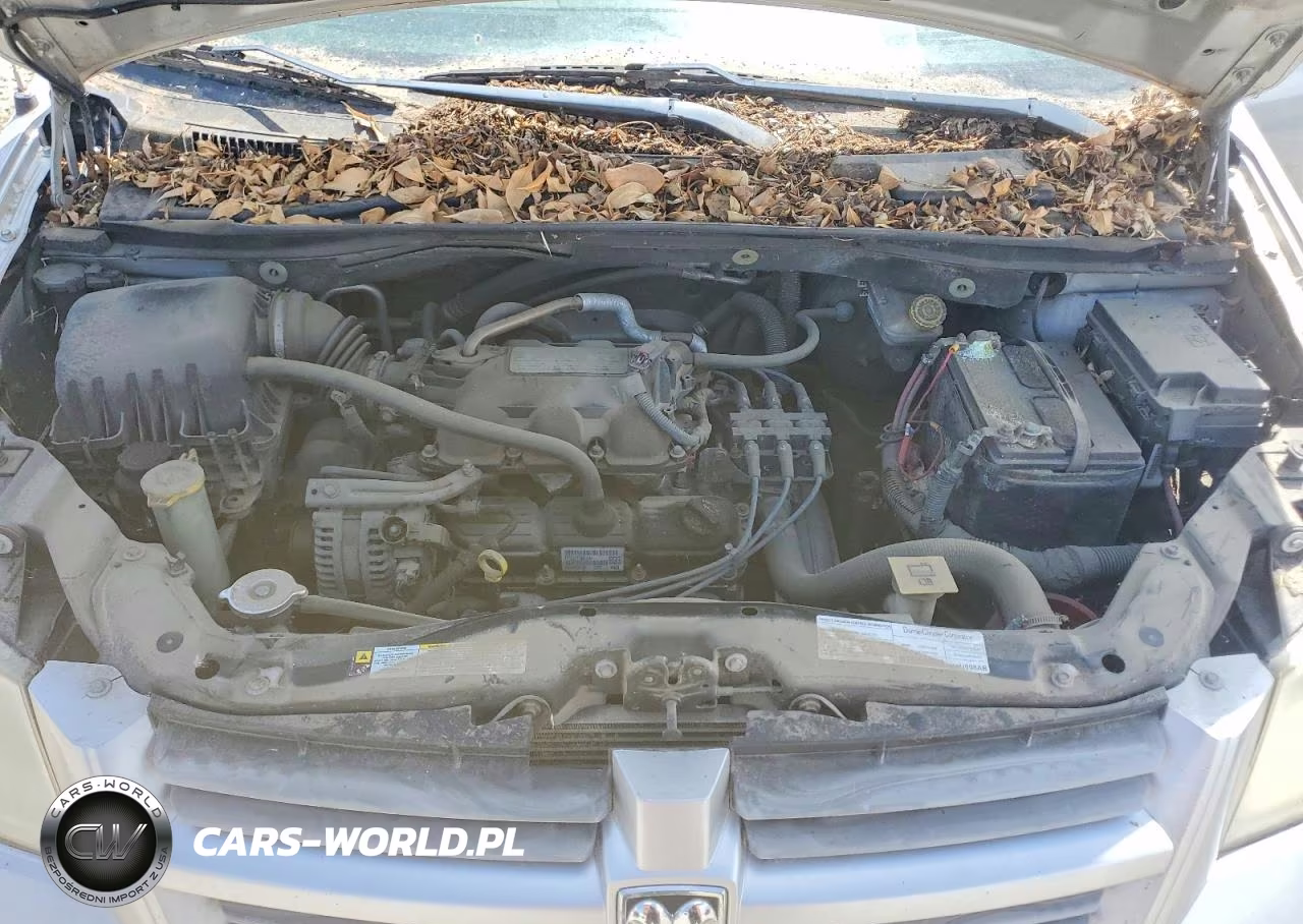 2008 Dodg Grand Caravan VIN:2D8HN44H28R772742 - 12