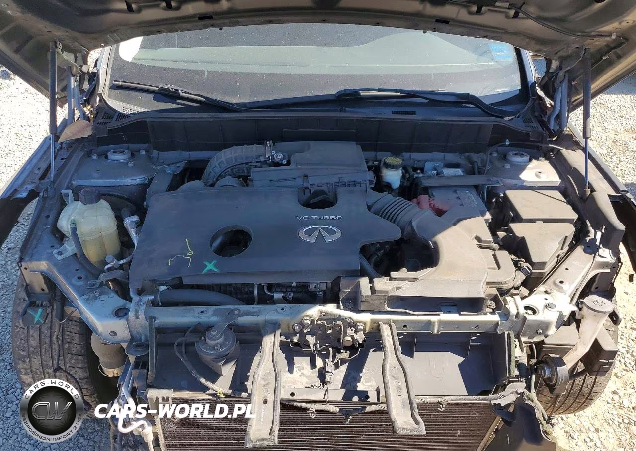 2019 Infiniti Qx50 Luxe VIN:3PCAJ5M15KF132354 - 12