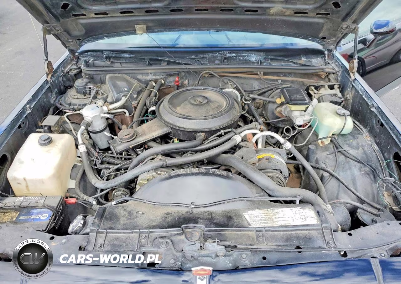 1985 Chevrolet El Camino VIN:3GCCW80H1FS911925 - 11