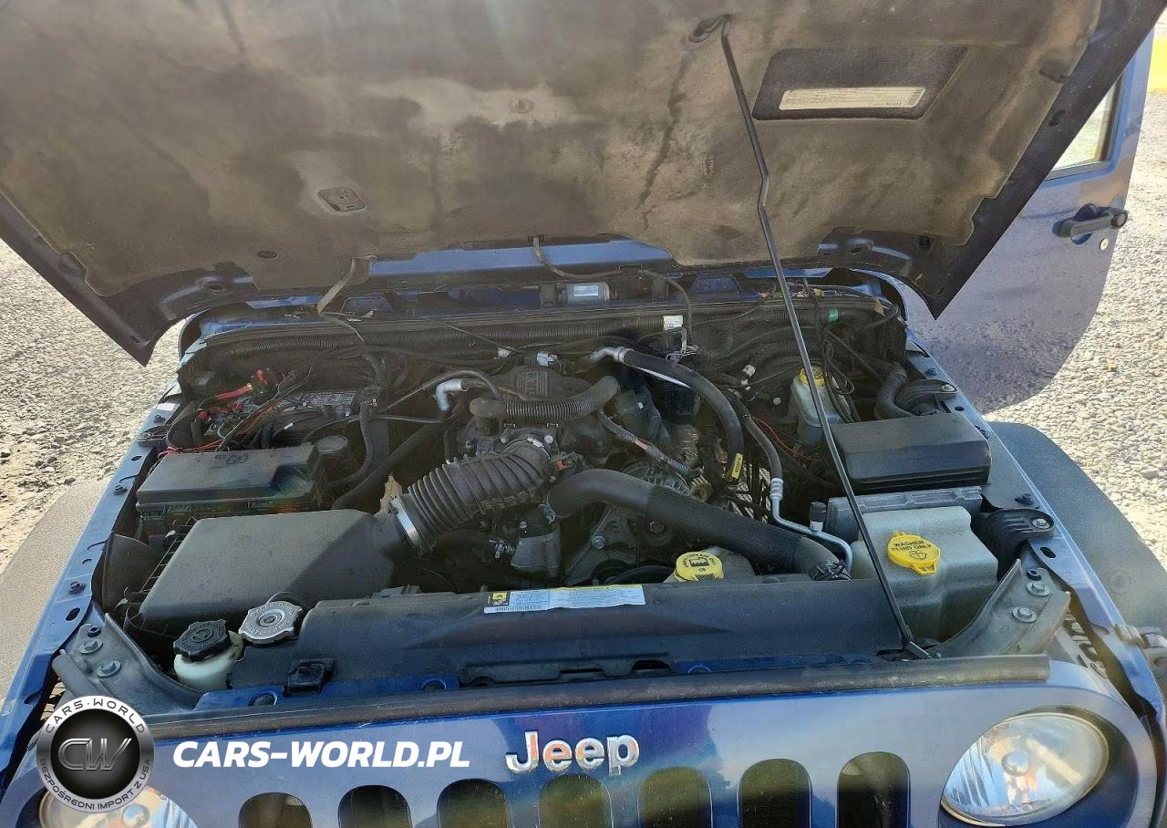 2009 Jeep Wrangler Rubicon VIN:1J8GA641X9L755985 - 12