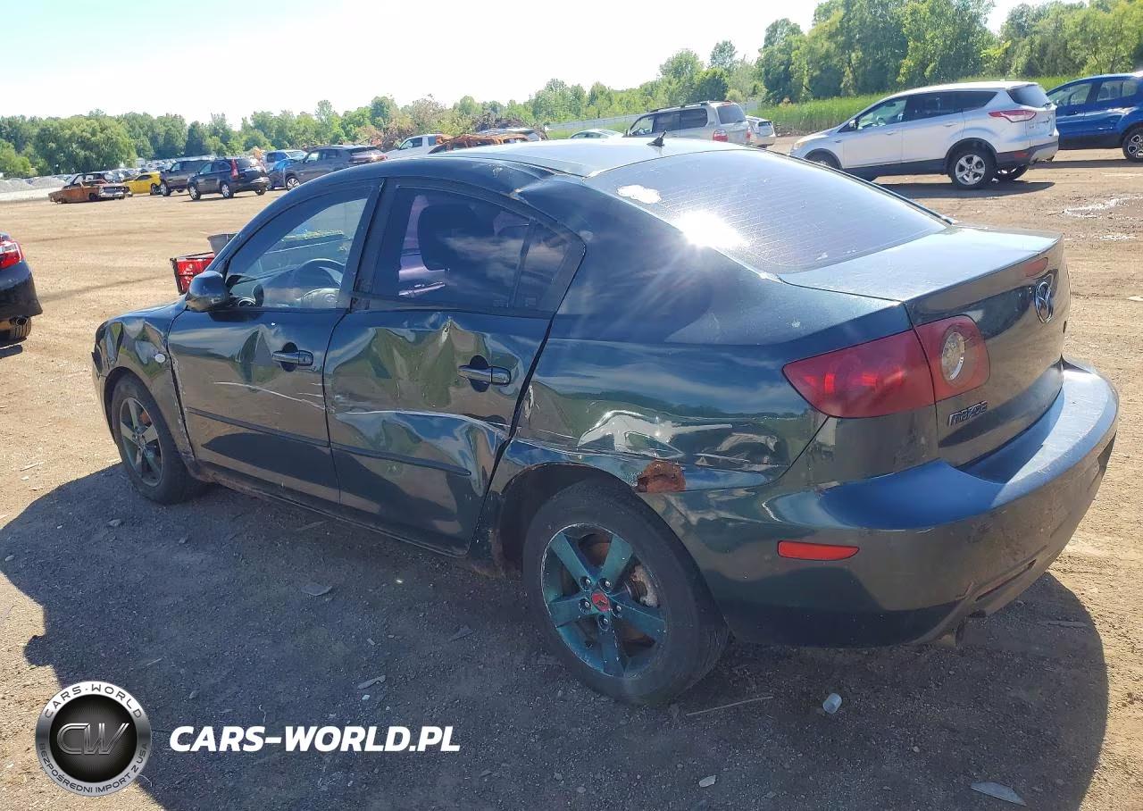 2004 Mazda 3 I VIN:JM1BK12F841215619 - 2