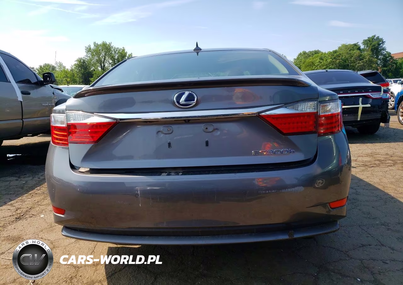 2013 Lexus Es 300H VIN:JTHBW1GG8D2038858 - 6
