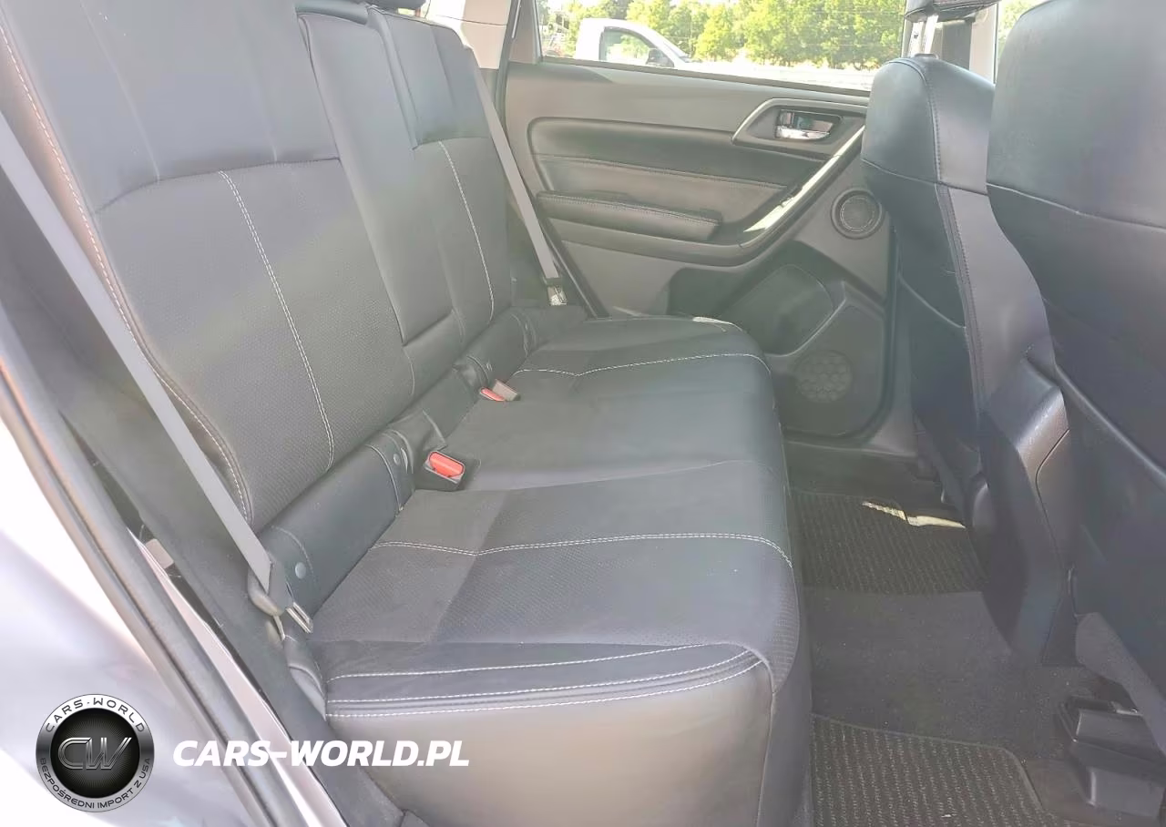 2017 Subaru Forester 2.0Xt Touring VIN:JF2SJGTC1HH402919 - 10