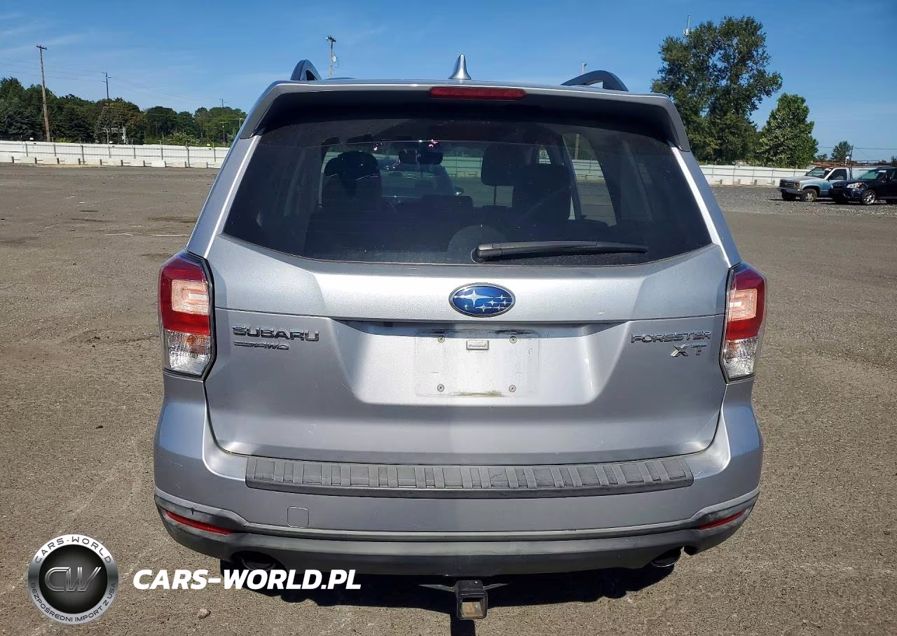 2017 Subaru Forester 2.0Xt Touring VIN:JF2SJGTC1HH402919 - 6