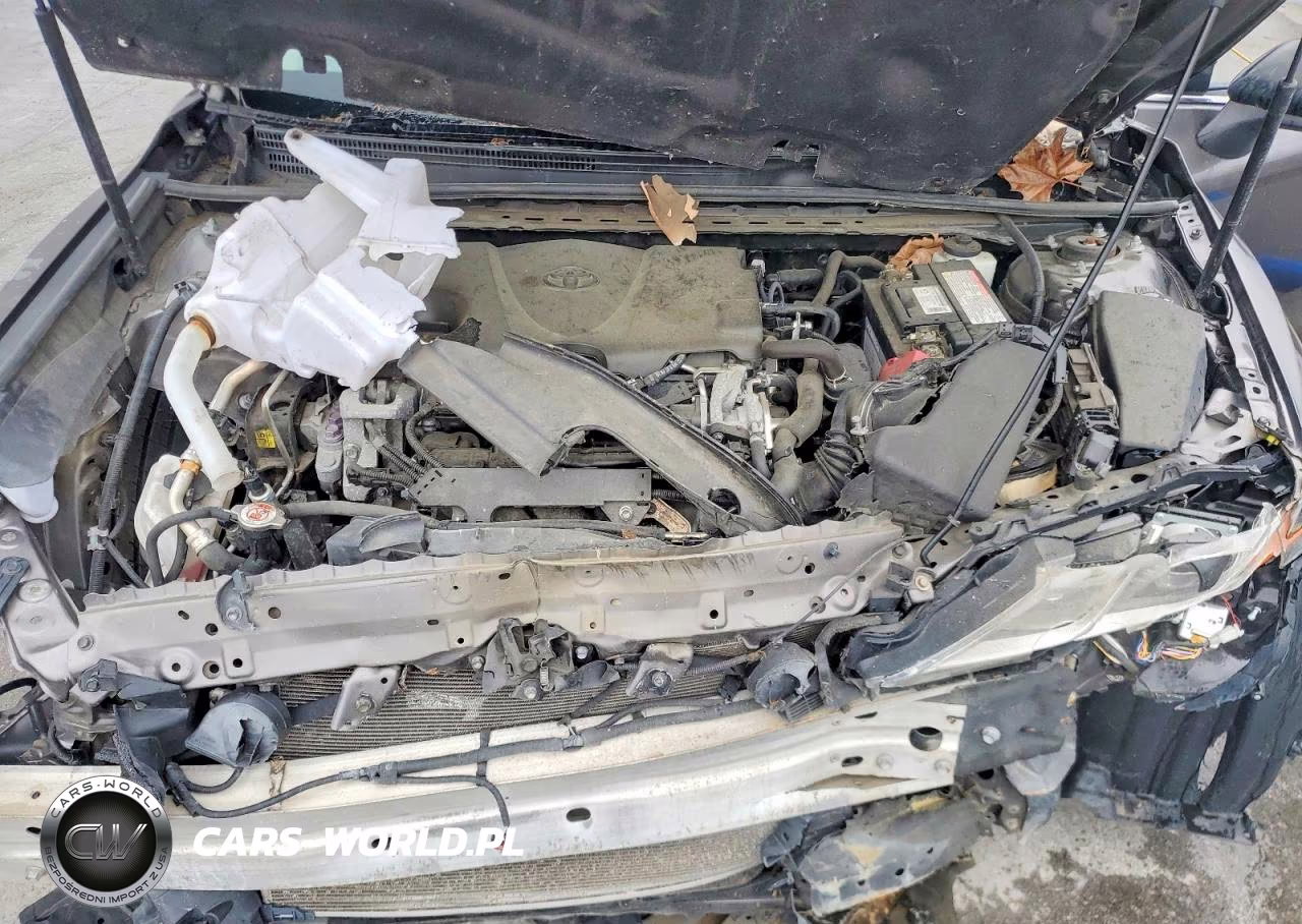 2019 Toyota Camry Le VIN:4T1B11HK1KU205254 - 11