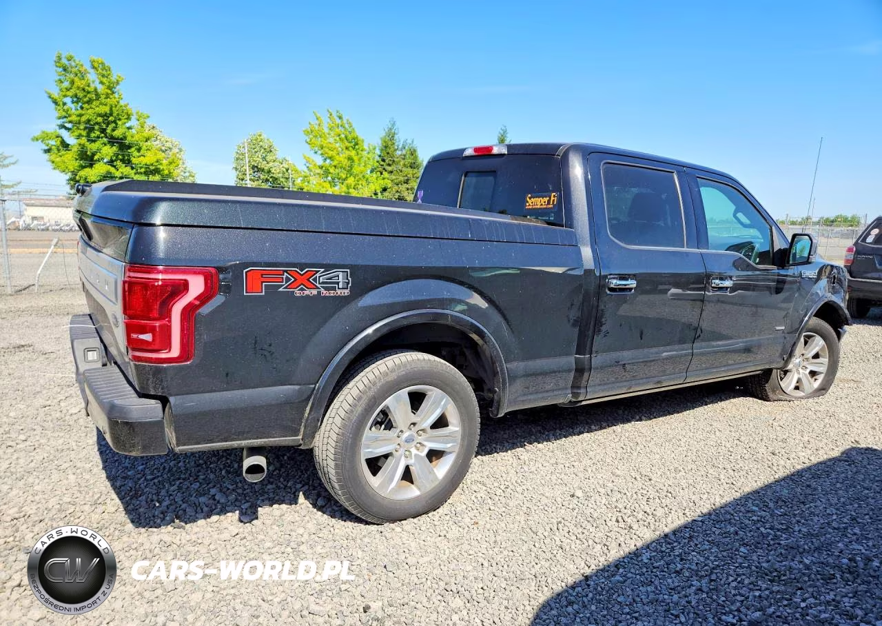 2015 Ford F150 Supercrew VIN:1FTFW1EG1FFB83077 - 3