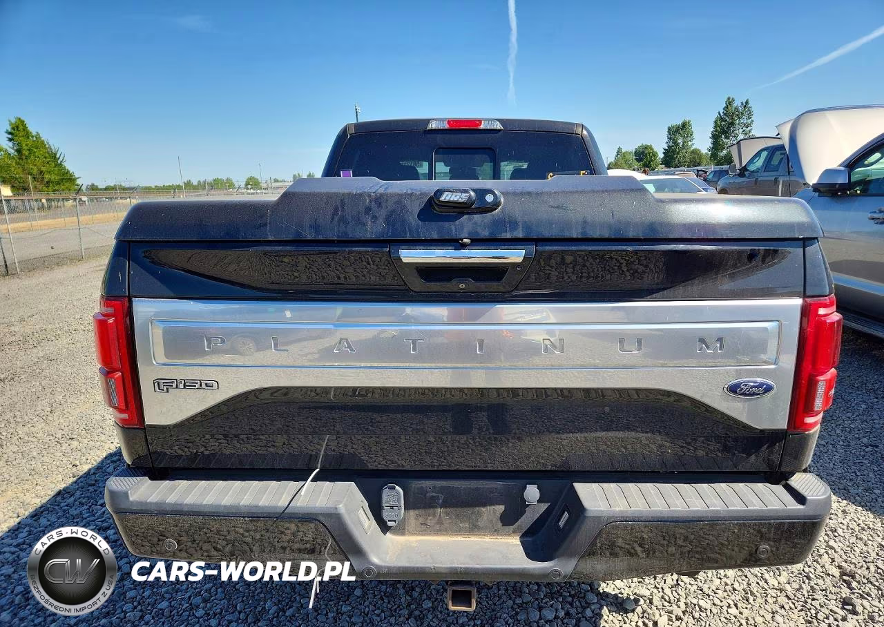2015 Ford F150 Supercrew VIN:1FTFW1EG1FFB83077 - 6