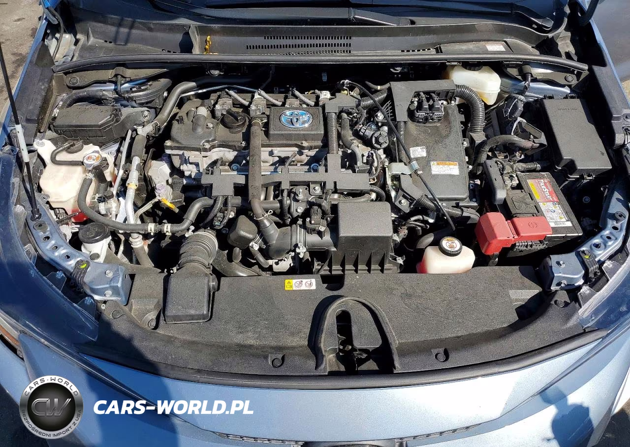 2021 Toyota Corolla Le VIN:JTDEAMDE8MJ013806 - 11
