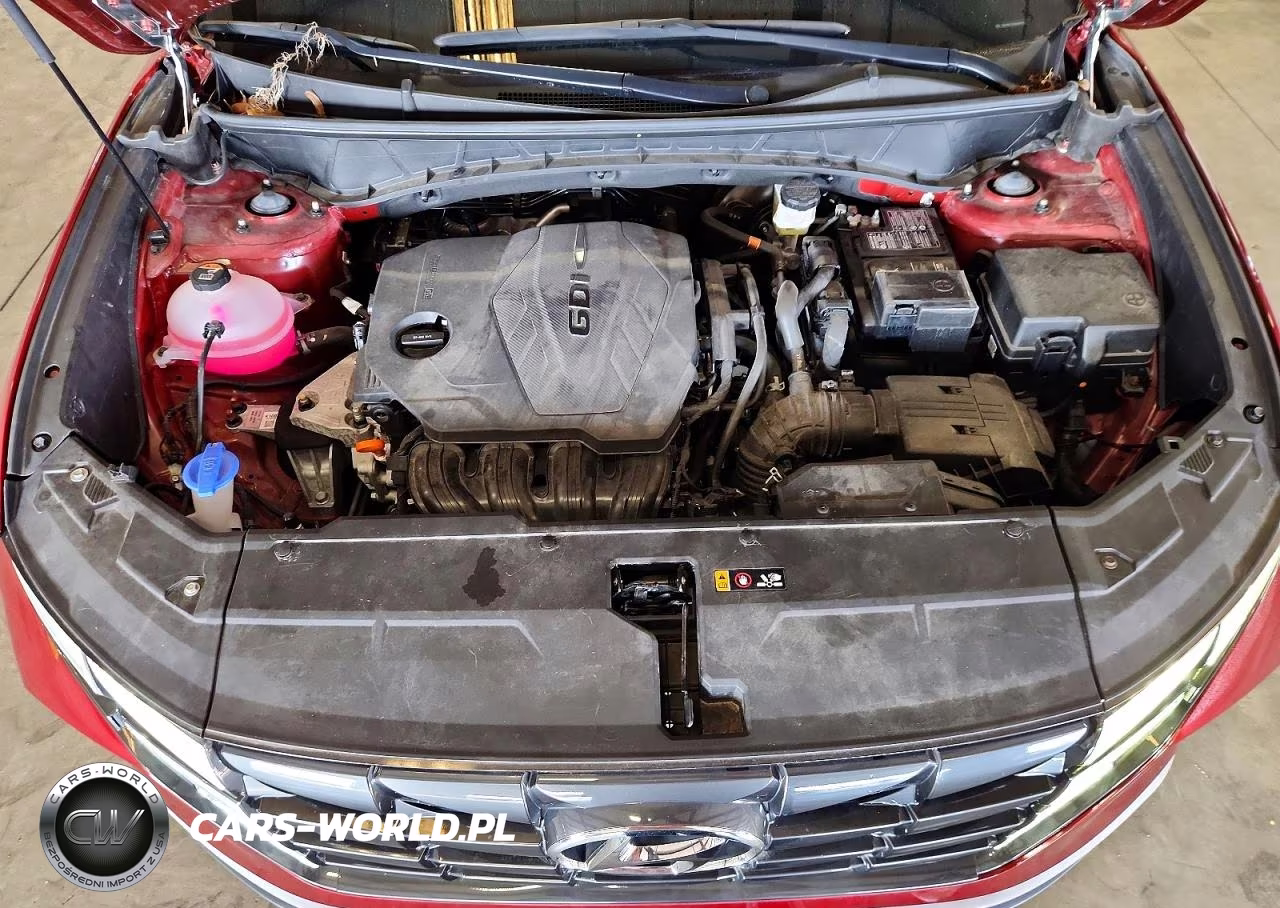 2024 HYUNDAI TUCSON SEL VIN:5NMJBCDE4RH411405 - 12
