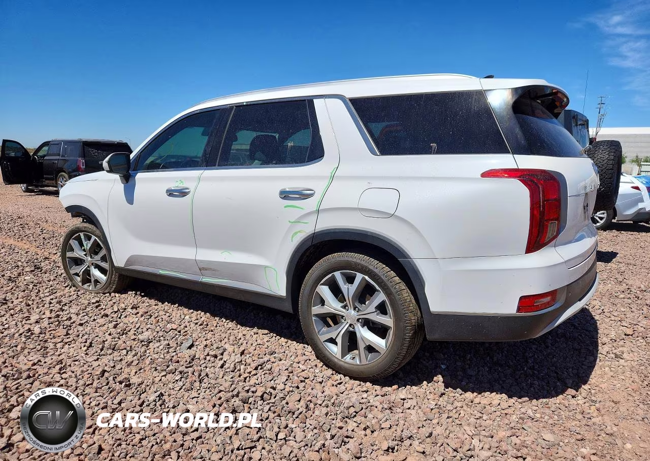 2020 Hyundai Palisade Sel VIN:KM8R44HE7LU086368 - 2