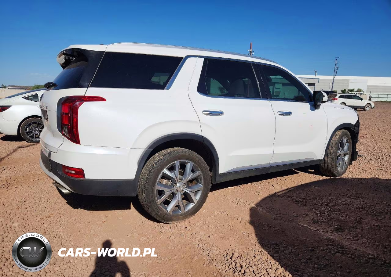 2020 Hyundai Palisade Sel VIN:KM8R44HE7LU086368 - 3