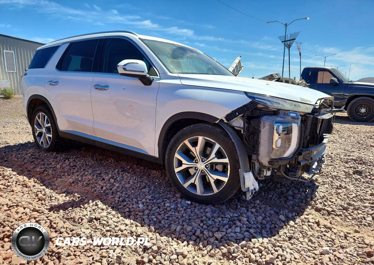 2020 Hyundai Palisade Sel VIN:KM8R44HE7LU086368 - 4