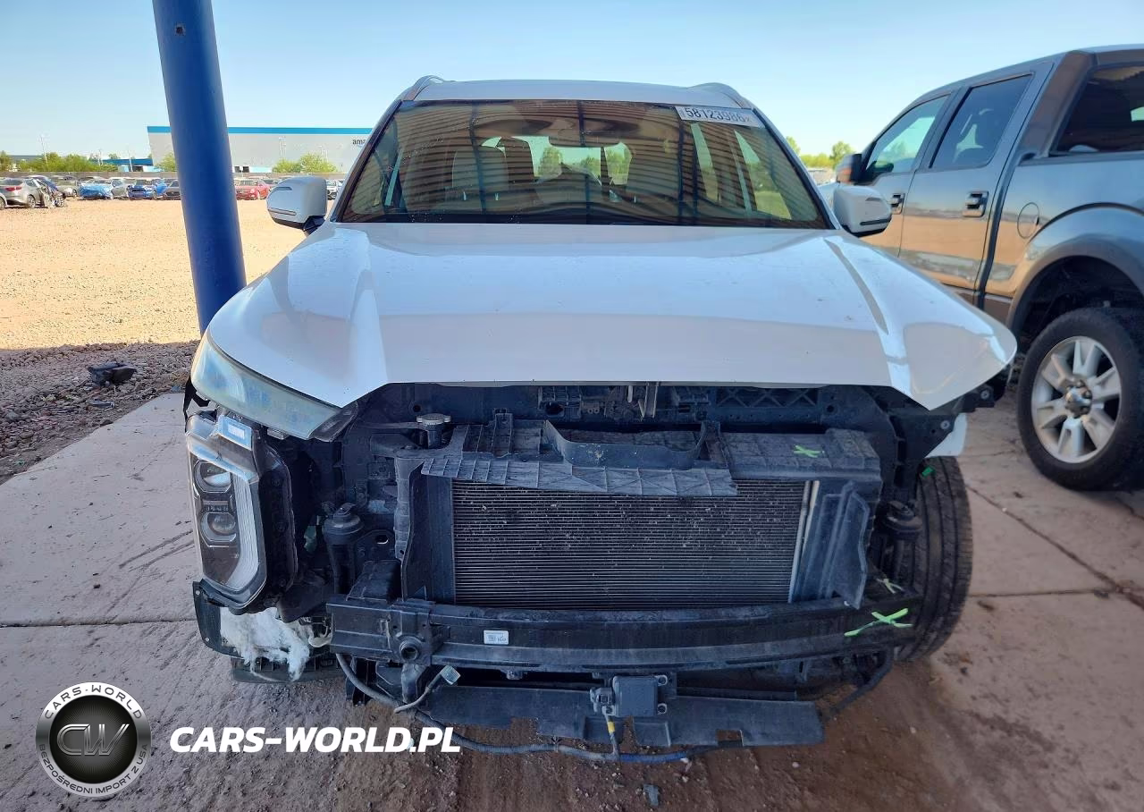 2020 Hyundai Palisade Sel VIN:KM8R44HE7LU086368 - 5