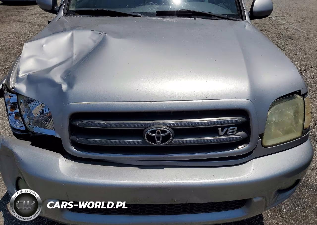 2002 Toyota Sequoia Limited VIN:5TDZT38A72S079227 - 11