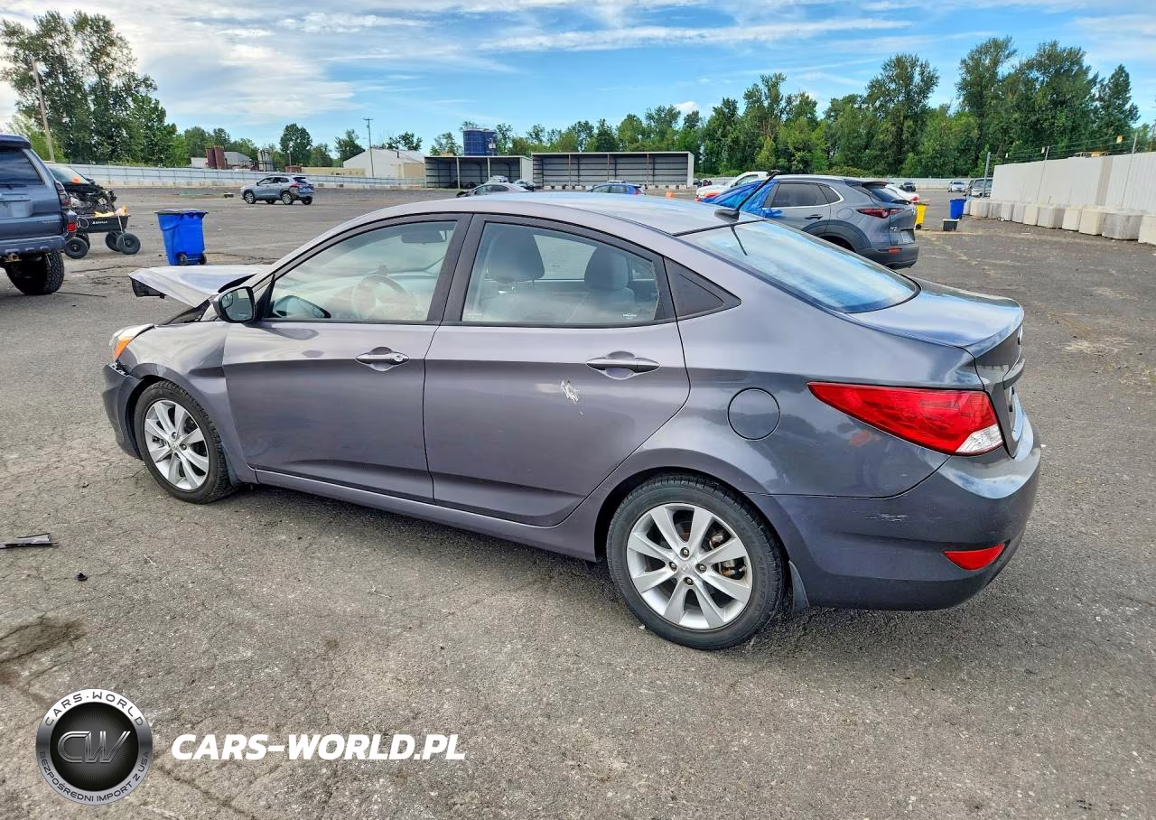2014 Hyundai Accent Gls VIN:KMHCU4AE9EU769109 - 2