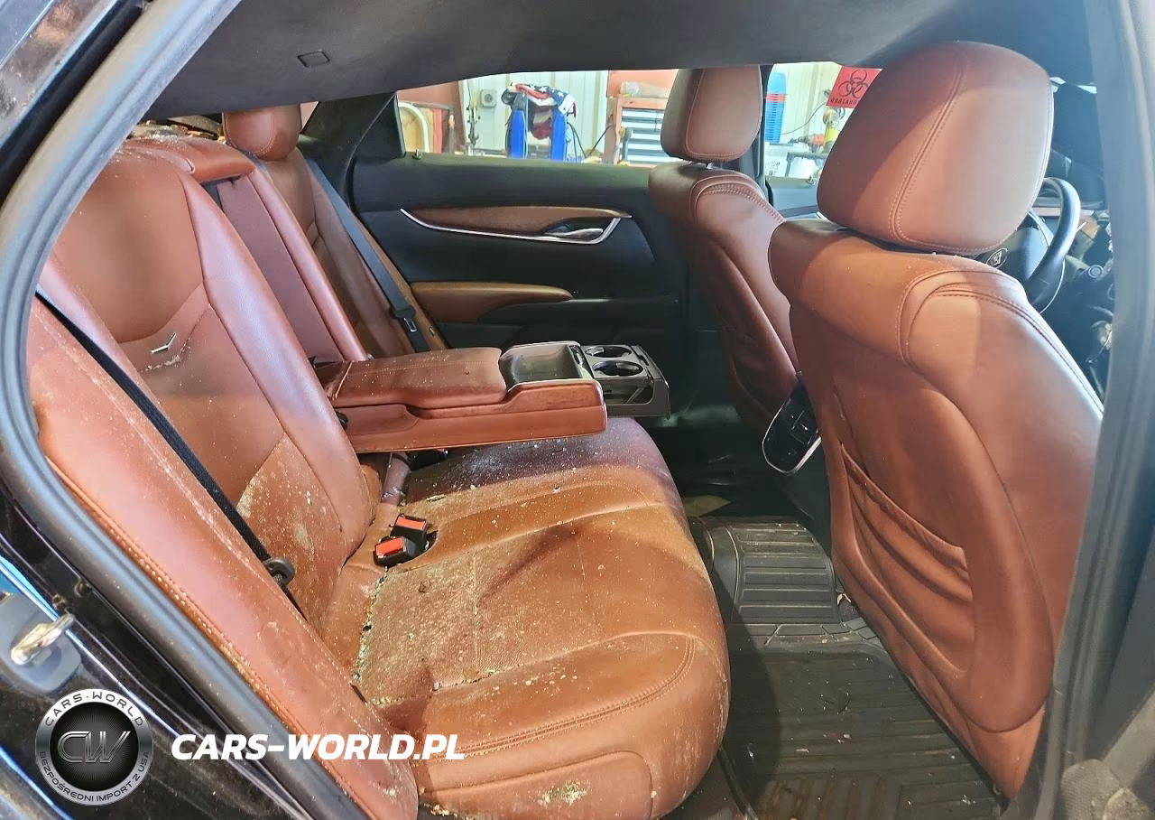 2015 Cadillac Xts Luxury Collection VIN:2G61M5S37F9123969 - 10