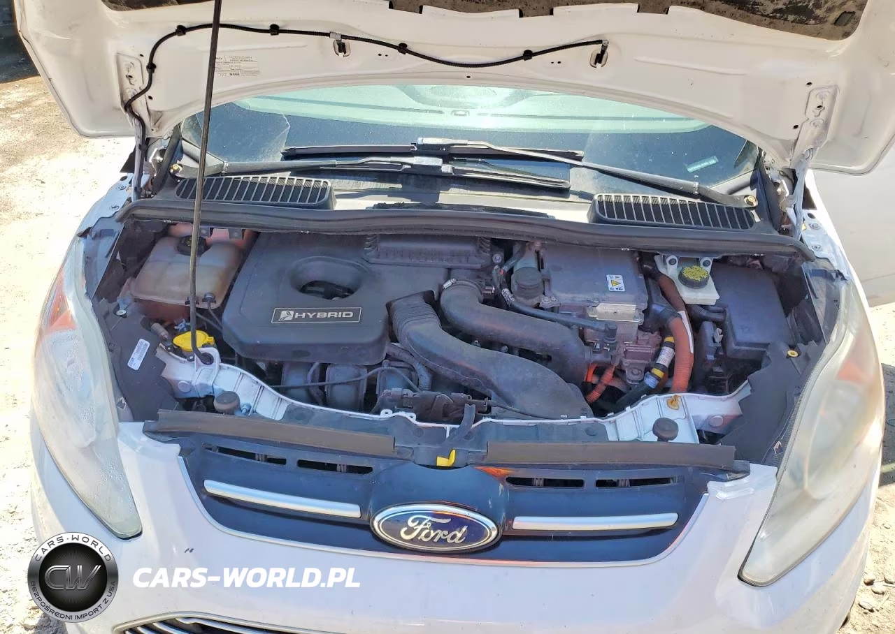 2016 Ford C-Max Sel VIN:1FADP5BU4GL101860 - 12