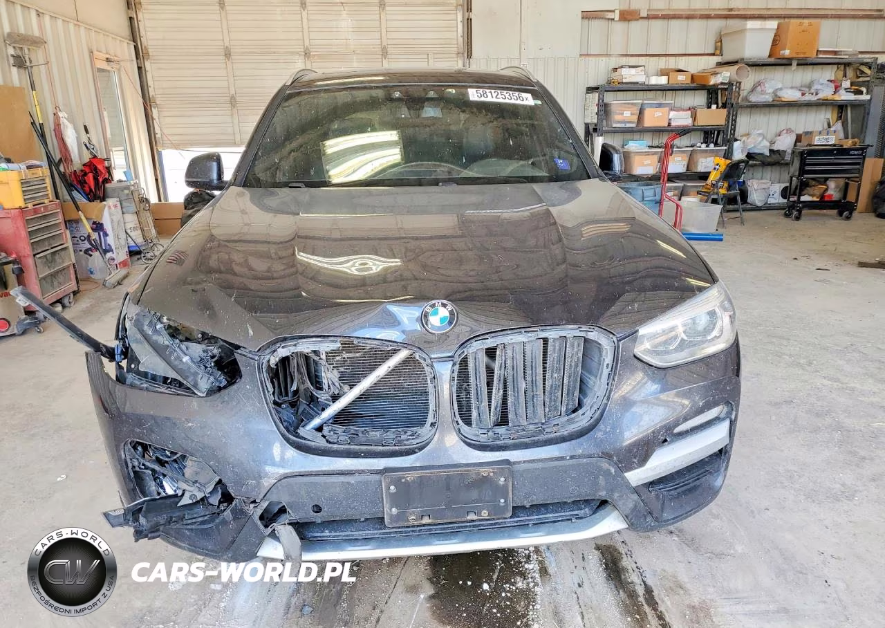 2019 BMW X3 Sdrive30I VIN:5UXTR7C52KLE93556 - 5