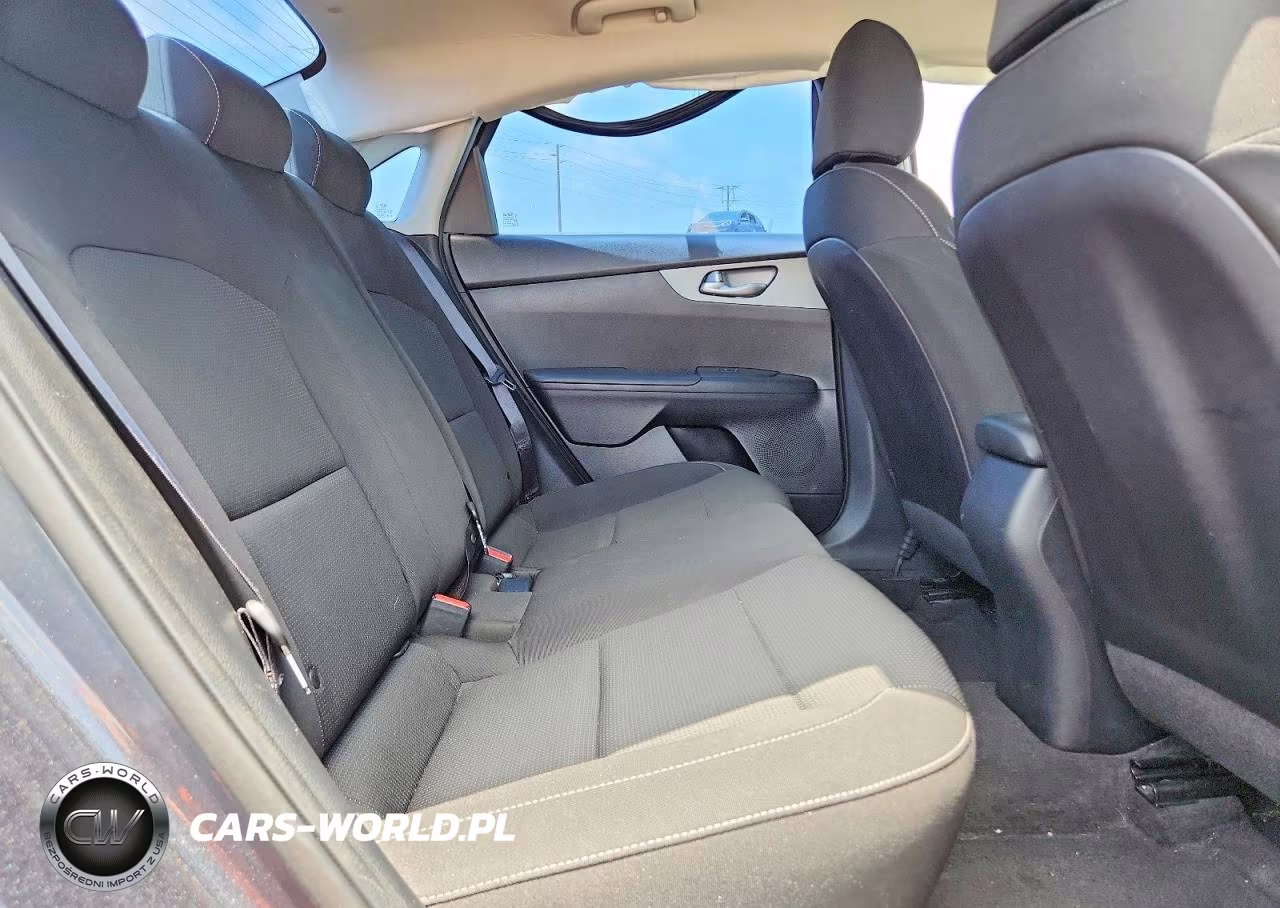 2019 Kia Forte Lxs VIN:3KPF24AD0KE116208 - 10