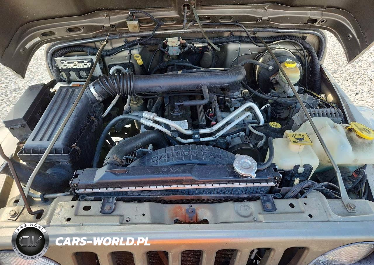 2004 Jeep Wrangler - Tj Sahara VIN:1J4FA59S14P712680 - 12