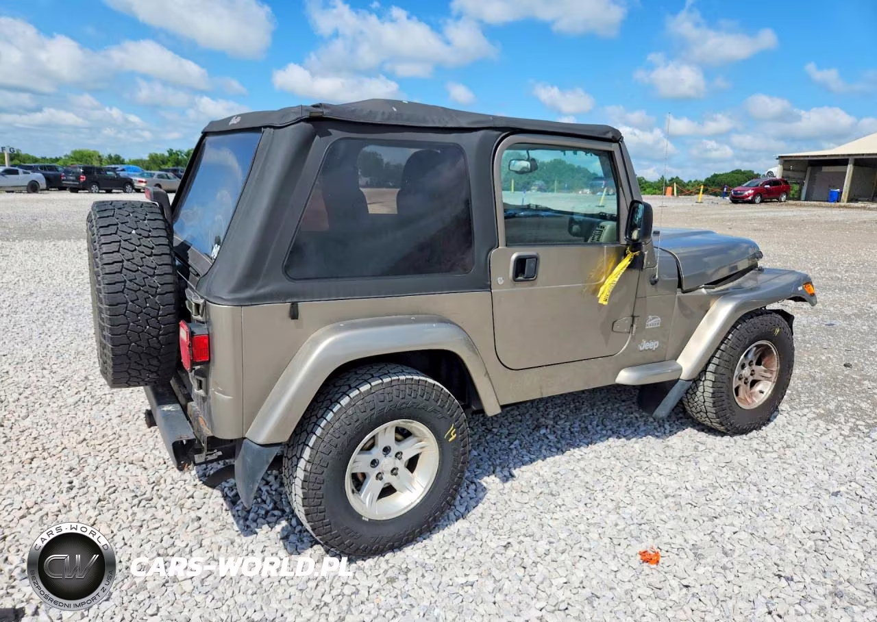 2004 Jeep Wrangler - Tj Sahara VIN:1J4FA59S14P712680 - 3
