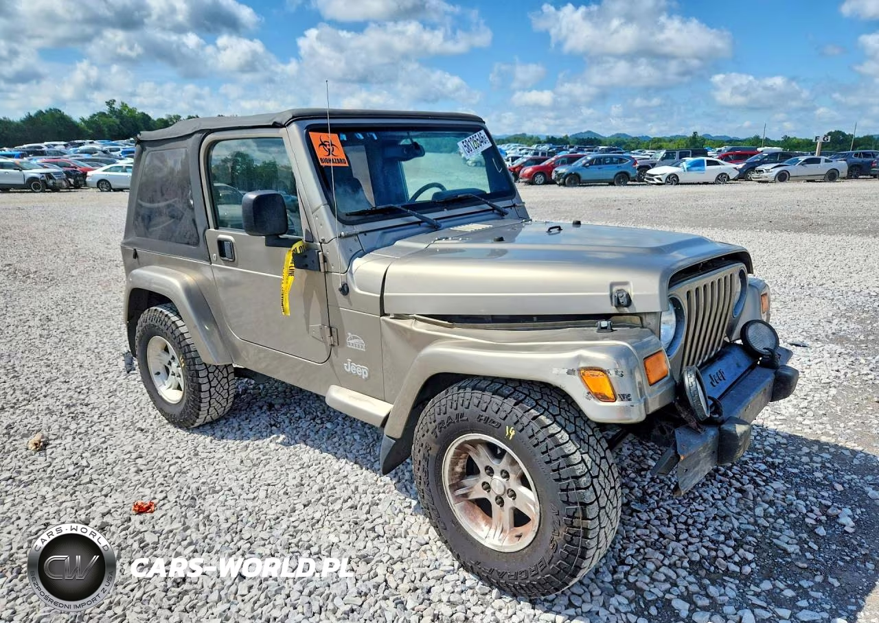 2004 Jeep Wrangler - Tj Sahara VIN:1J4FA59S14P712680 - 4
