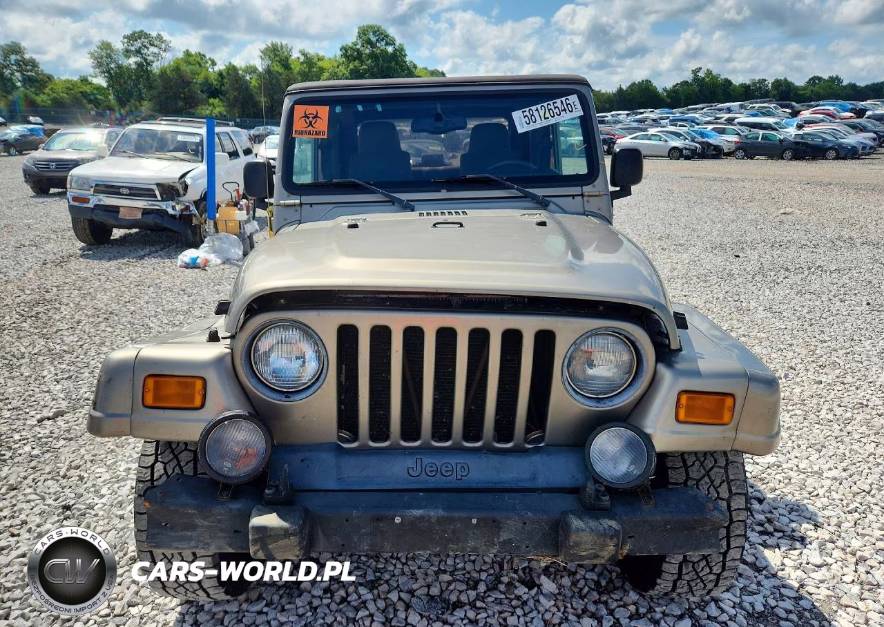 2004 Jeep Wrangler - Tj Sahara VIN:1J4FA59S14P712680 - 5